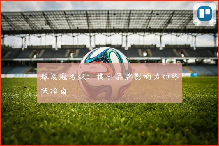 球场冠名权：提升品牌影响力的终极指南