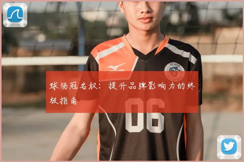球场冠名权：提升品牌影响力的终极指南