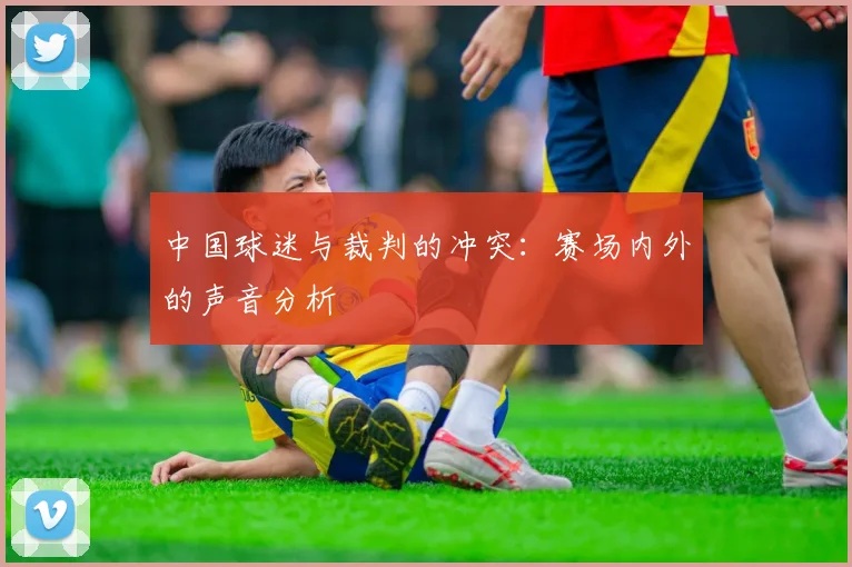 中国球迷与裁判的冲突：赛场内外的声音分析